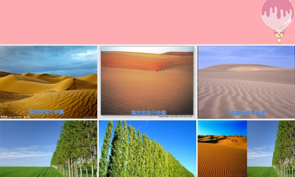 六年级语文上册 第五单元 采访对象是棵树课件1 湘教版-湘教版小学六年级上册语文课件