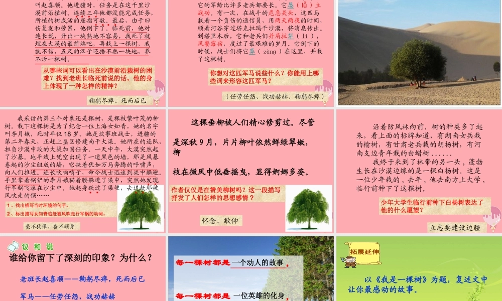 六年级语文上册 第五单元 采访对象是棵树课件1 湘教版-湘教版小学六年级上册语文课件