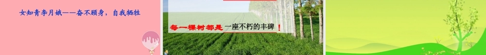 六年级语文上册 第五单元 采访对象是棵树课件1 湘教版-湘教版小学六年级上册语文课件