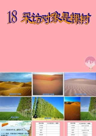 六年级语文上册 第五单元 采访对象是棵树课件1 湘教版-湘教版小学六年级上册语文课件