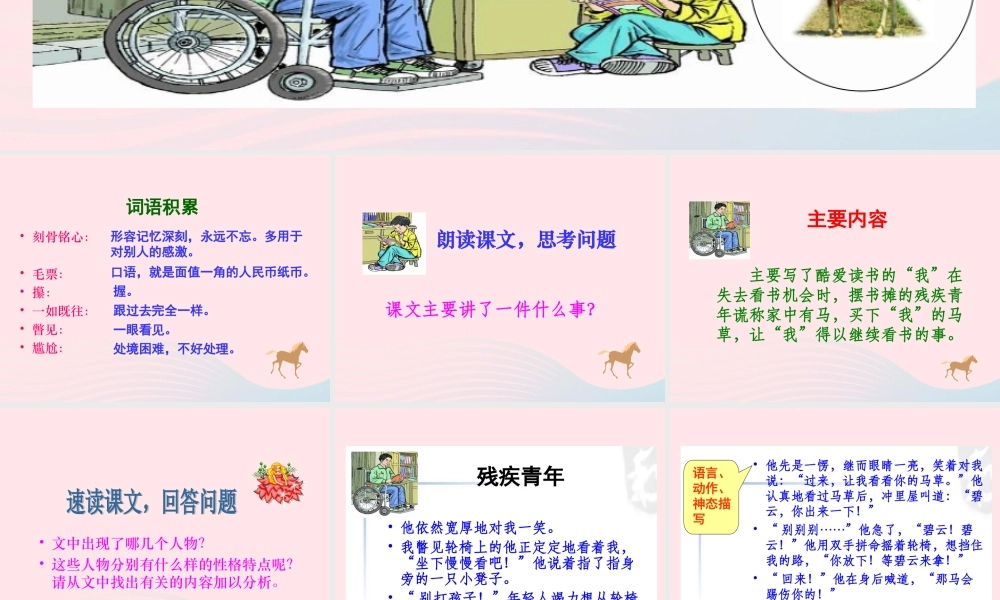 六年级语文上册 第三组 10 别饿坏了那匹马课件2