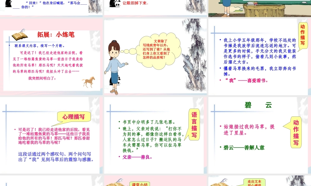 六年级语文上册 第三组 10别饿坏了那匹马课堂教学课件1 新人教版-新人教版小学六年级上册语文课件