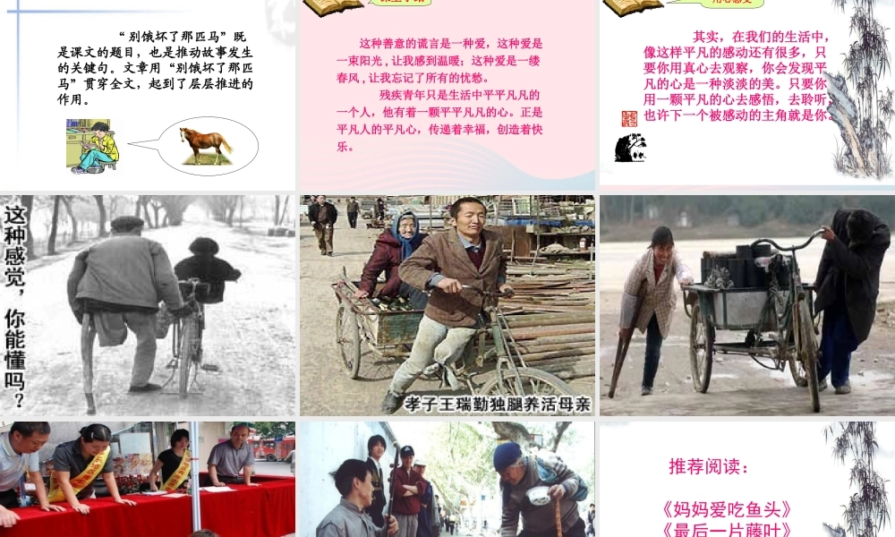 六年级语文上册 第三组 10别饿坏了那匹马课堂教学课件1 新人教版-新人教版小学六年级上册语文课件