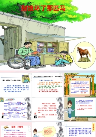 六年级语文上册 第三组 10别饿坏了那匹马课堂教学课件1 新人教版-新人教版小学六年级上册语文课件