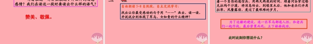 六年级语文上册 第五单元 采访对象是棵树课件3 湘教版-湘教版小学六年级上册语文课件
