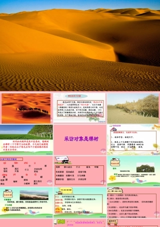 六年级语文上册 第五单元 采访对象是棵树课件3 湘教版-湘教版小学六年级上册语文课件