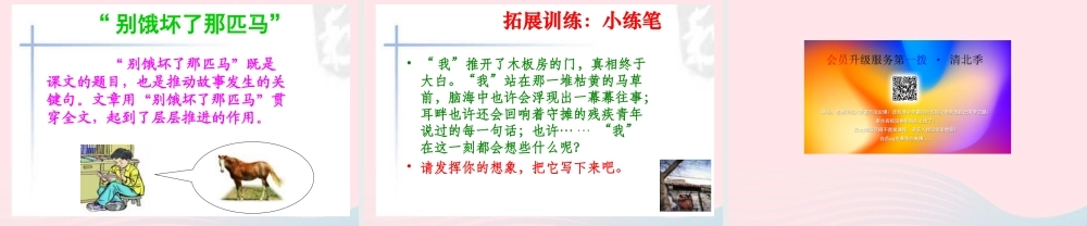 六年级语文上册 第三组 10别饿坏了那匹马课堂教学课件2 新人教版-新人教版小学六年级上册语文课件