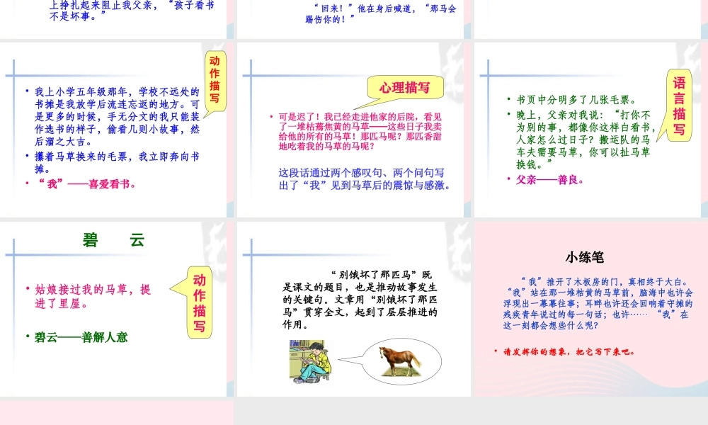 六年级语文上册 第三组 10别饿坏了那匹马课堂教学课件3 新人教版-新人教版小学六年级上册语文课件