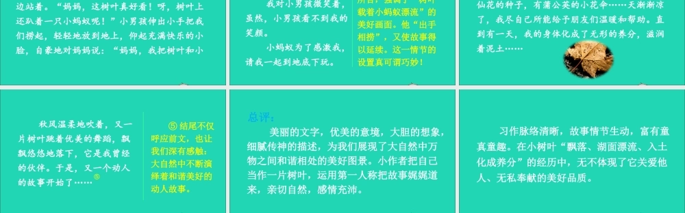 六年级语文上册 第一单元 习作：变形记课件1 新人教版-新人教版小学六年级上册语文课件