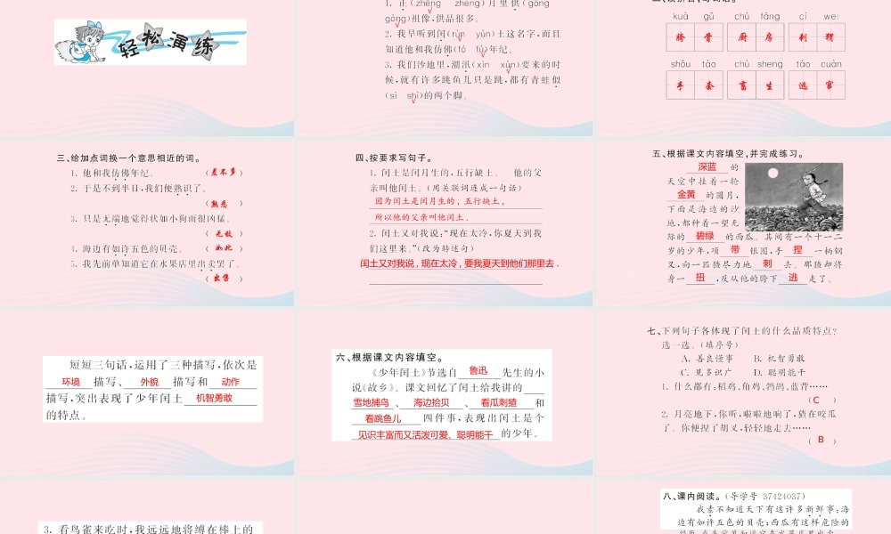 六年级语文上册 第五单元 闰土习题课件 新人教版-新人教级上册语文课件