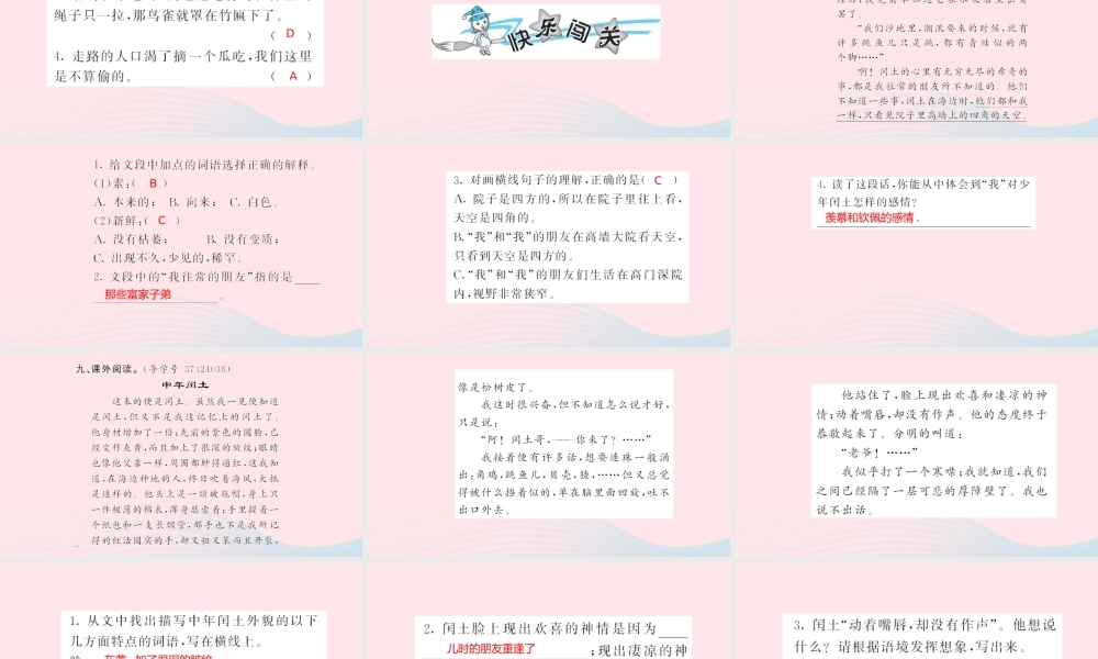 六年级语文上册 第五单元 闰土习题课件 新人教版-新人教级上册语文课件
