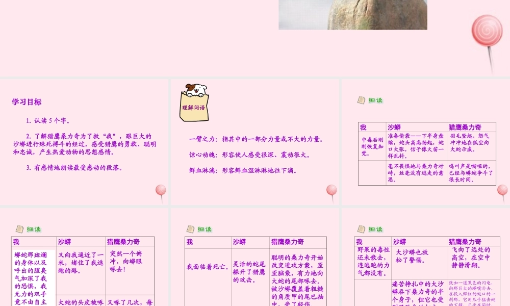 六年级语文上册 第五单元 鹰》课件 北京版-北京级上册语文课件