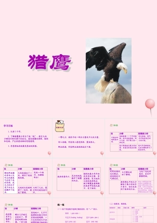 六年级语文上册 第五单元 鹰》课件 北京版-北京级上册语文课件