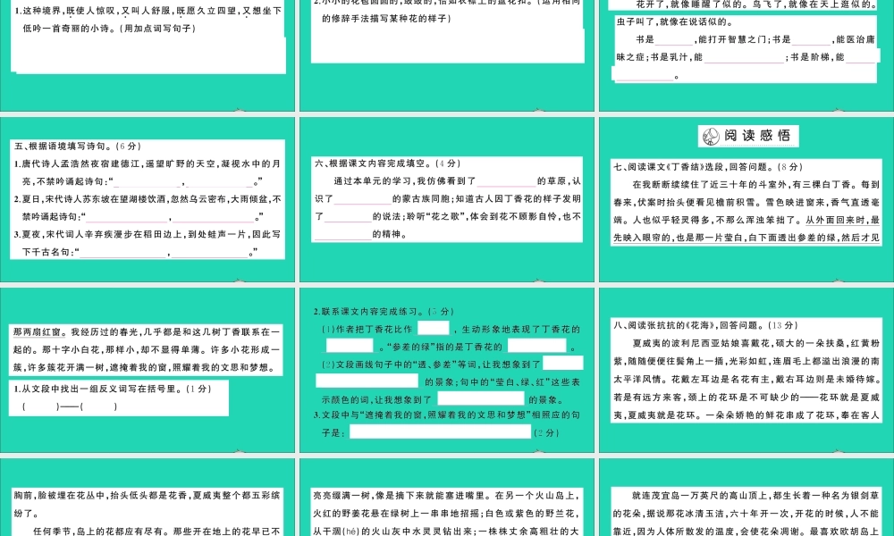 六年级语文上册 第一单元测试课件 新人教版-新人教版小学六年级上册语文课件