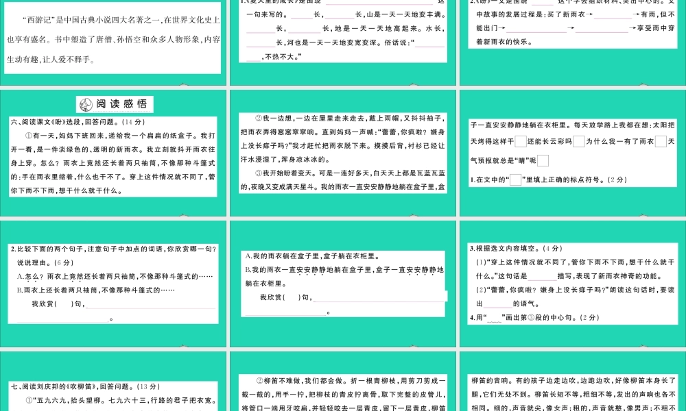六年级语文上册 第五单元测试课件 新人教版-新人教版小学六年级上册语文课件