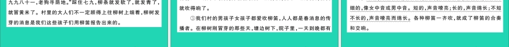 六年级语文上册 第五单元测试课件 新人教版-新人教版小学六年级上册语文课件