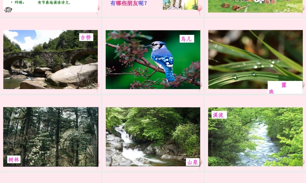 六年级语文上册 第一组 1 山中访友课件2 新人教版-新人教版小学六年级上册语文课件
