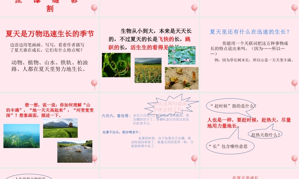 六年级语文上册 第五单元 15 夏天里成长课件 新人教版-新人教版小学六年级上册语文课件