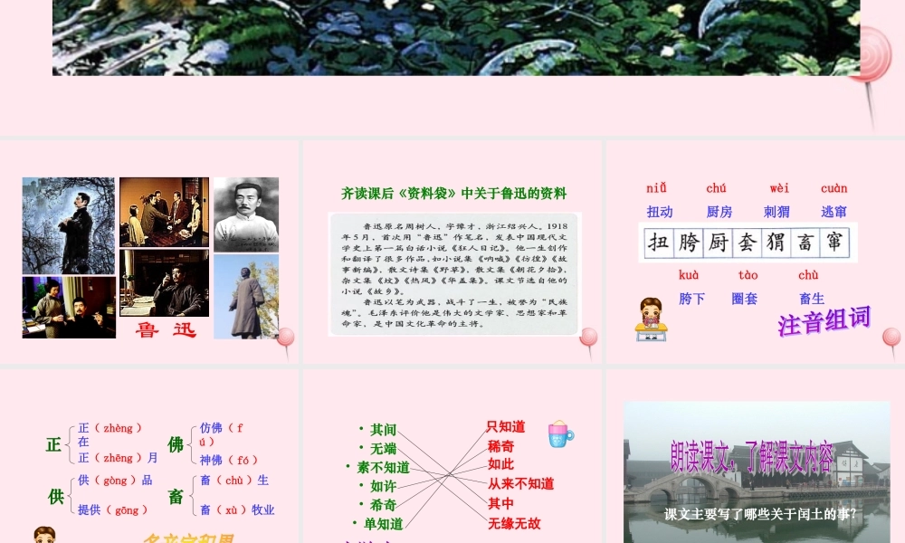六年级语文上册 第五组 17 少年闰土课件1 新人教版-新人教版小学六年级上册语文课件