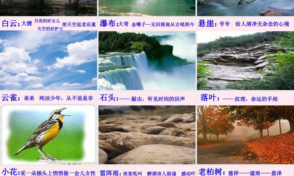 六年级语文上册 第一组 1 山中访友课件3 新人教版-新人教版小学六年级上册语文课件