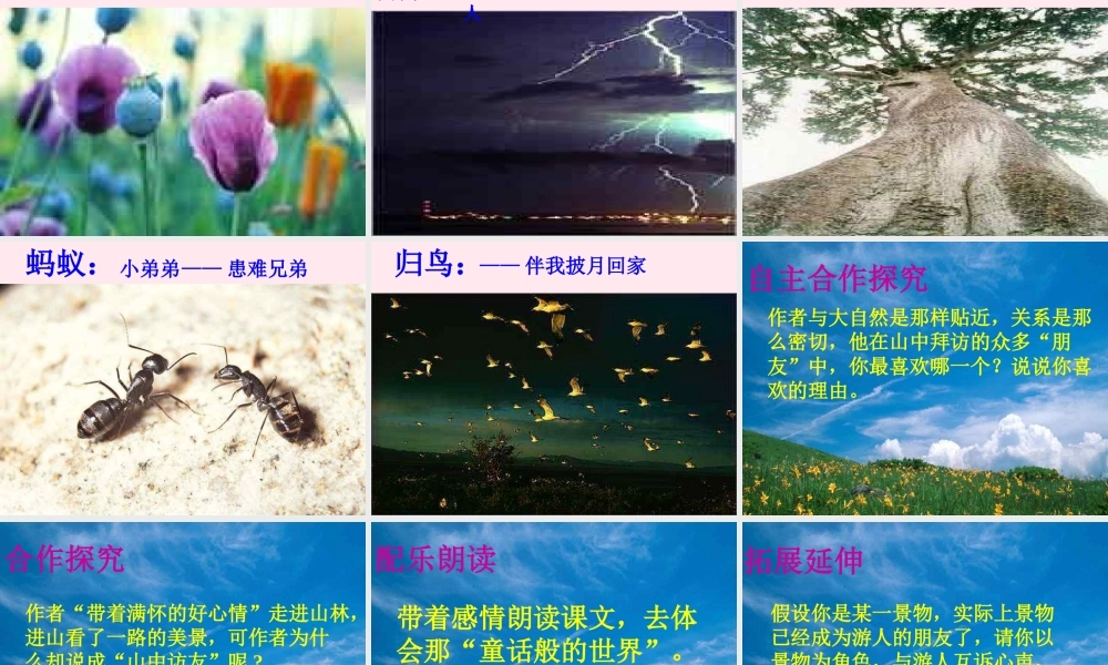 六年级语文上册 第一组 1 山中访友课件3 新人教版-新人教版小学六年级上册语文课件