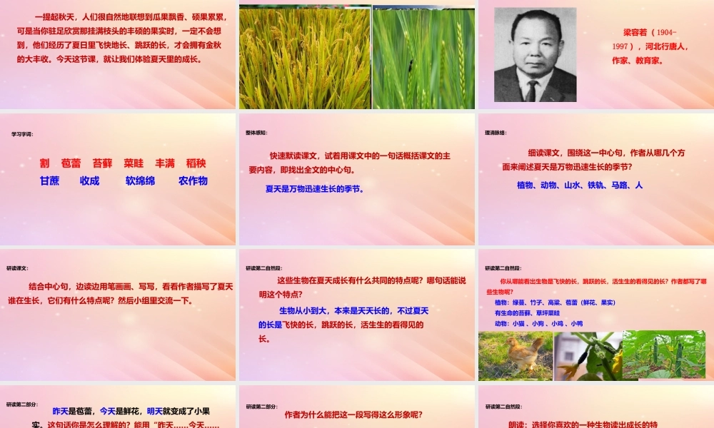 六年级语文上册 第五单元 15 夏天里的成长课件 新人教版-新人教版小学六年级上册语文课件