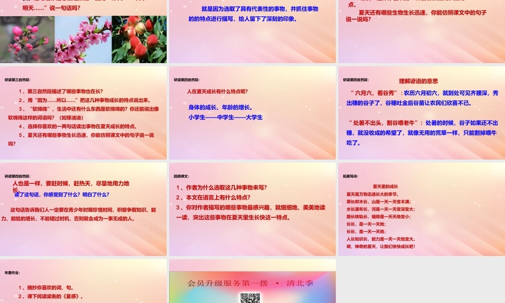 六年级语文上册 第五单元 15 夏天里的成长课件 新人教版-新人教版小学六年级上册语文课件