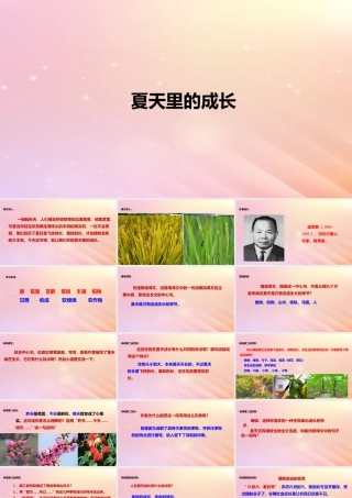六年级语文上册 第五单元 15 夏天里的成长课件 新人教版-新人教版小学六年级上册语文课件