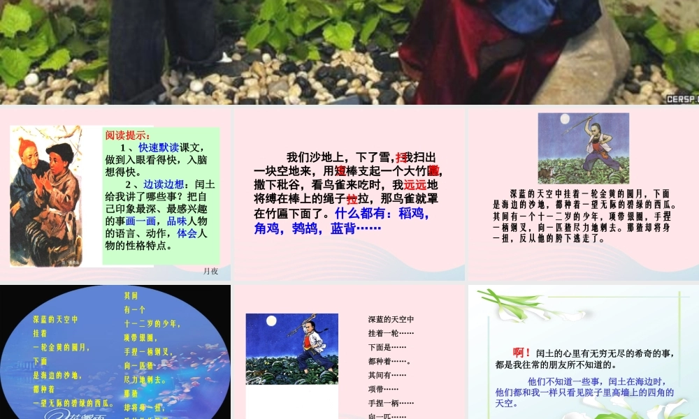 六年级语文上册 第五组 17 少年闰土课件2 新人教版-新人教版小学六年级上册语文课件