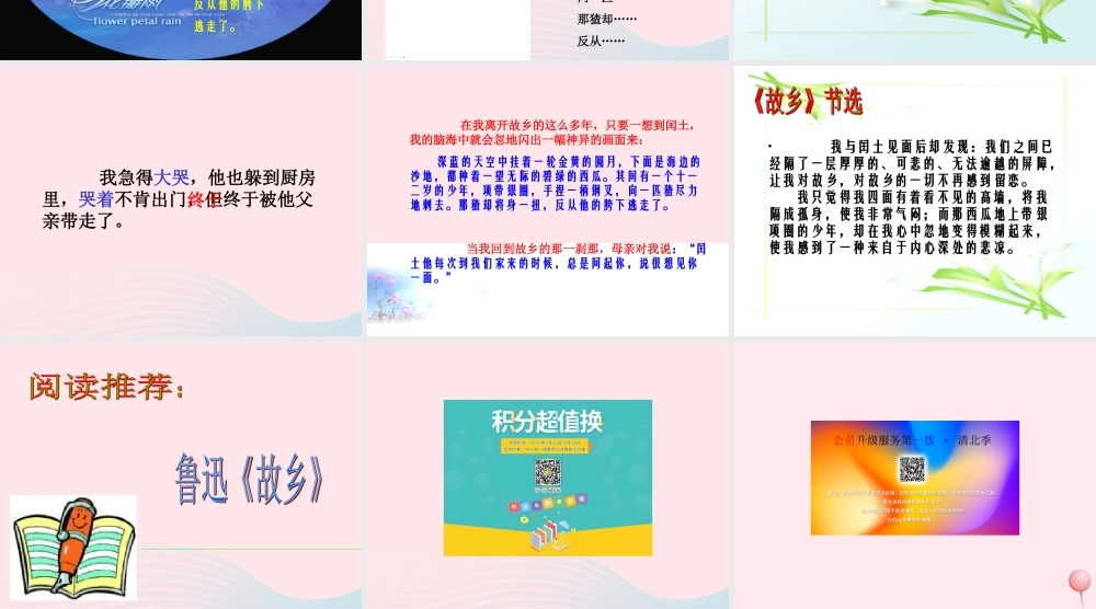 六年级语文上册 第五组 17 少年闰土课件2 新人教版-新人教版小学六年级上册语文课件