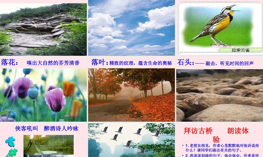 六年级语文上册 第一组 1《山中访友》课文教学课件1 新人教版-新人教版小学六年级上册语文课件