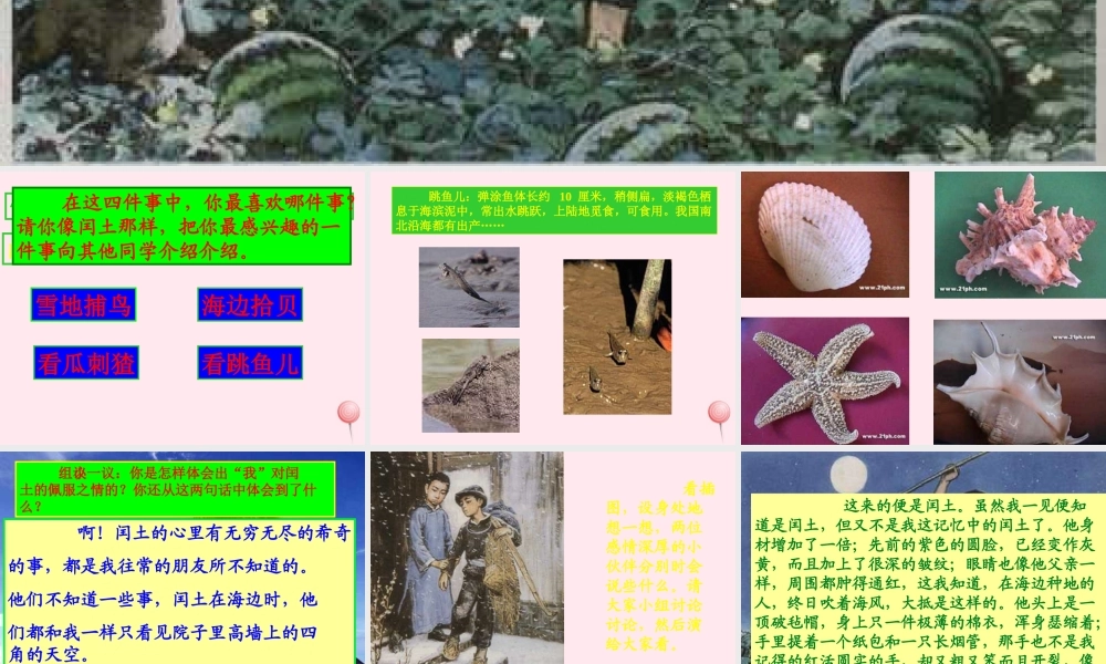六年级语文上册 第五组 17 少年闰土课件4 新人教版-新人教版小学六年级上册语文课件