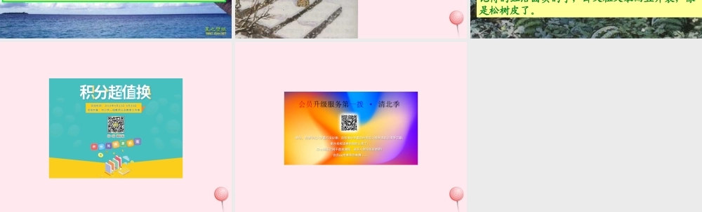 六年级语文上册 第五组 17 少年闰土课件4 新人教版-新人教版小学六年级上册语文课件