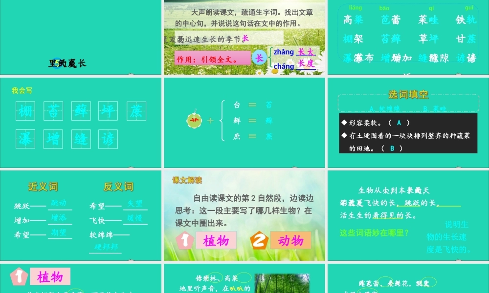 六年级语文上册 第五单元 15 夏天里的成长课件