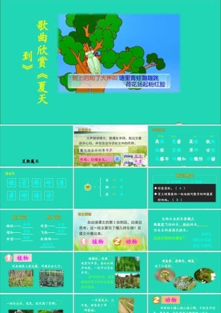 六年级语文上册 第五单元 15 夏天里的成长课件