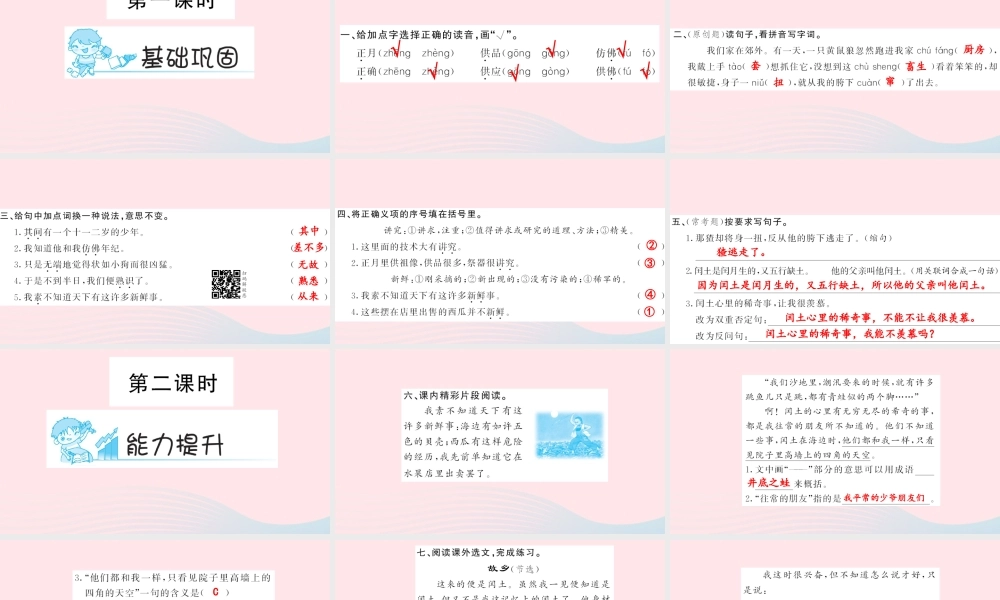 六年级语文上册 第五组 17 少年闰土习题课件 新人教版-新人教版小学六年级上册语文课件