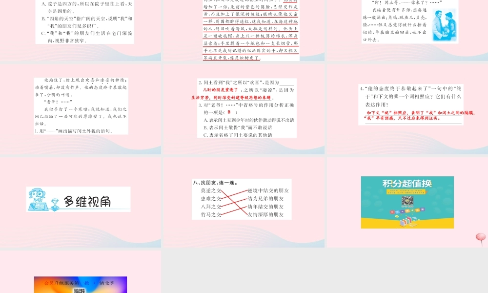六年级语文上册 第五组 17 少年闰土习题课件 新人教版-新人教版小学六年级上册语文课件