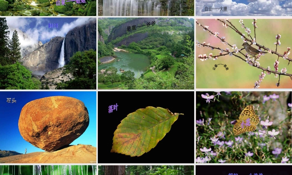 六年级语文上册 第一组 1《山中访友》课文教学课件2 新人教版-新人教版小学六年级上册语文课件