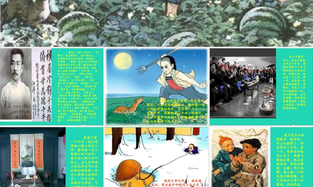 六年级语文上册 第五组 17少年闰土课堂教学课件1 新人教版-新人教版小学六年级上册语文课件