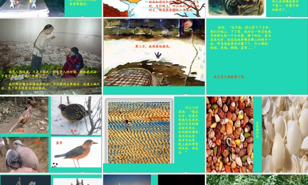 六年级语文上册 第五组 17少年闰土课堂教学课件1 新人教版-新人教版小学六年级上册语文课件