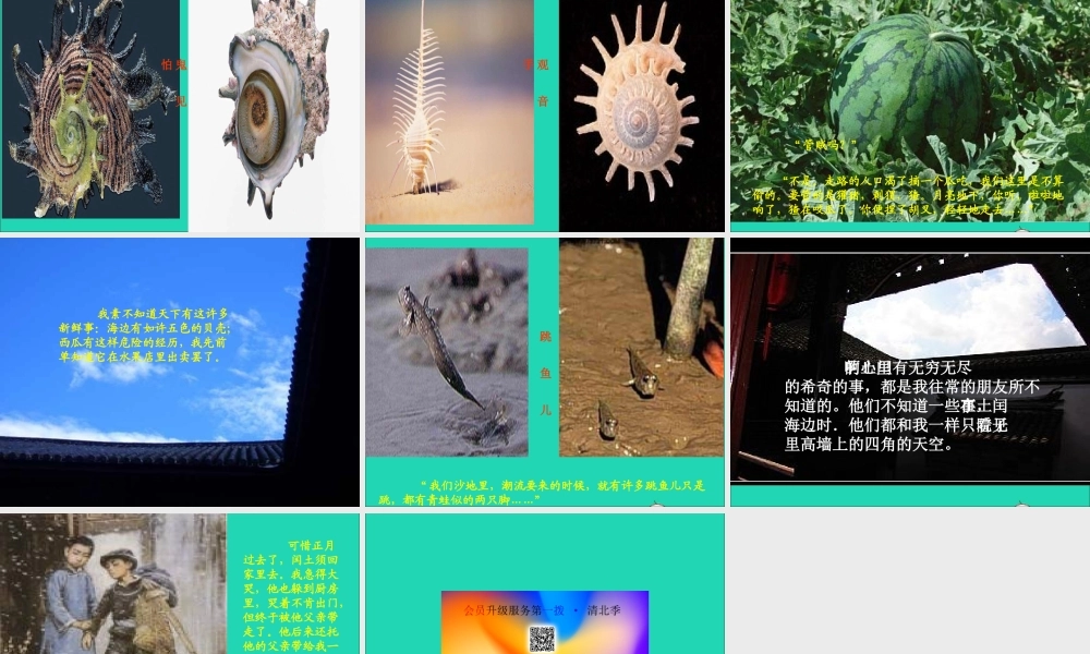 六年级语文上册 第五组 17少年闰土课堂教学课件1 新人教版-新人教版小学六年级上册语文课件