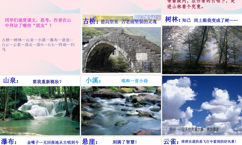 六年级语文上册 第一组 1《山中访友》课文教学课件3 新人教版-新人教版小学六年级上册语文课件