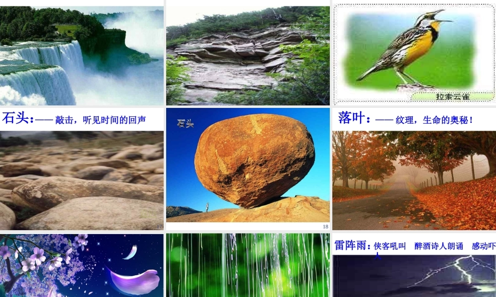 六年级语文上册 第一组 1《山中访友》课文教学课件3 新人教版-新人教版小学六年级上册语文课件