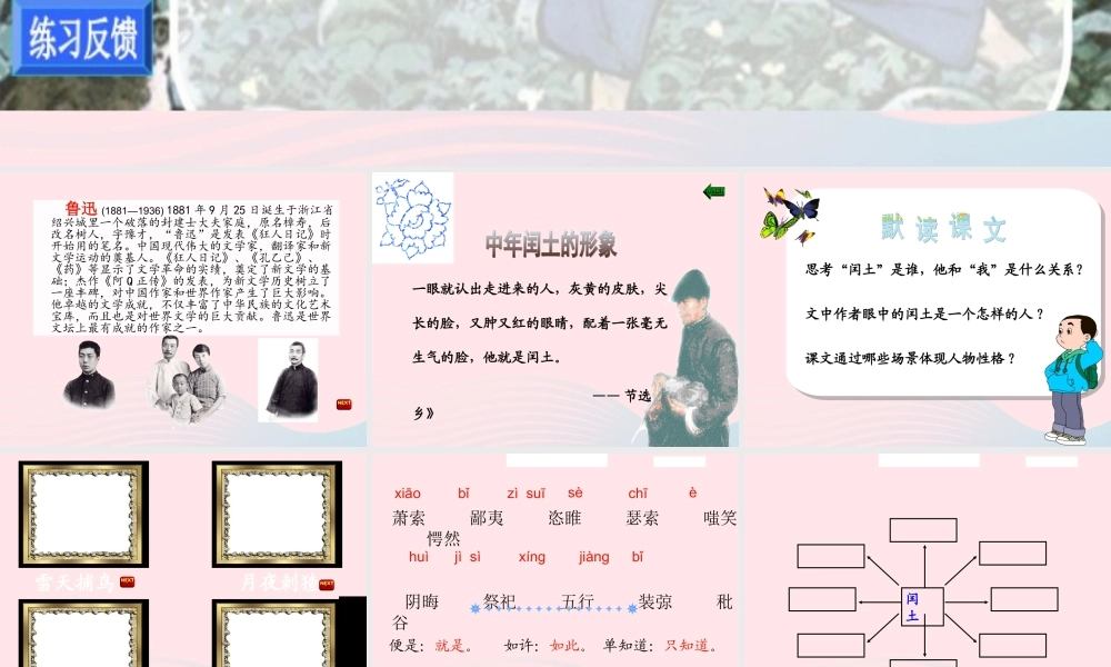 六年级语文上册 第五组 17少年闰土课堂教学课件2 新人教版-新人教版小学六年级上册语文课件