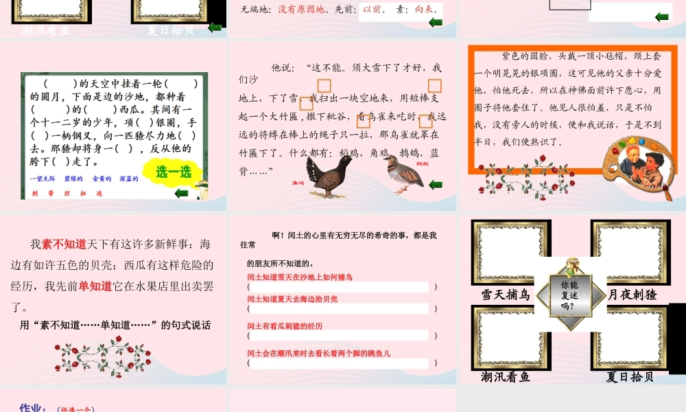 六年级语文上册 第五组 17少年闰土课堂教学课件2 新人教版-新人教版小学六年级上册语文课件