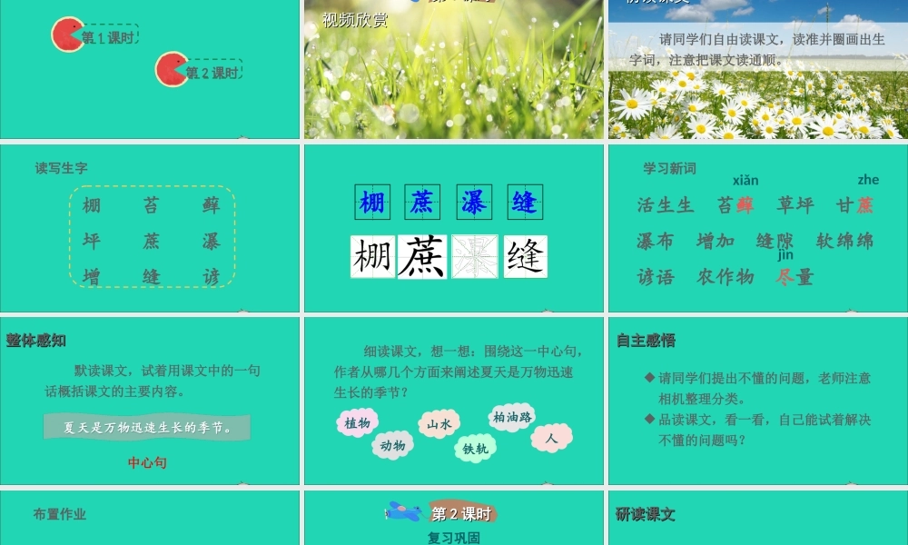 六年级语文上册 第五单元 15《夏天里的成长》课件