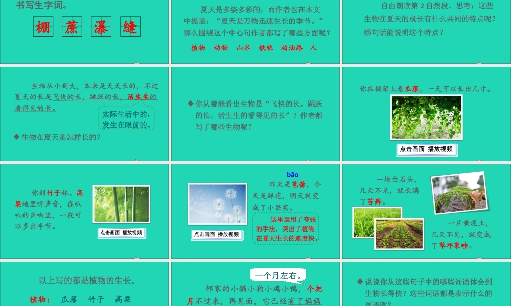 六年级语文上册 第五单元 15《夏天里的成长》课件