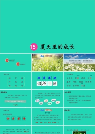 六年级语文上册 第五单元 15《夏天里的成长》课件
