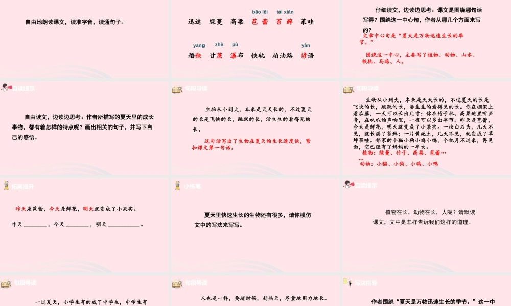 六年级语文上册 第五单元 15夏天里的成长课件 新人教版-新人教版小学六年级上册语文课件
