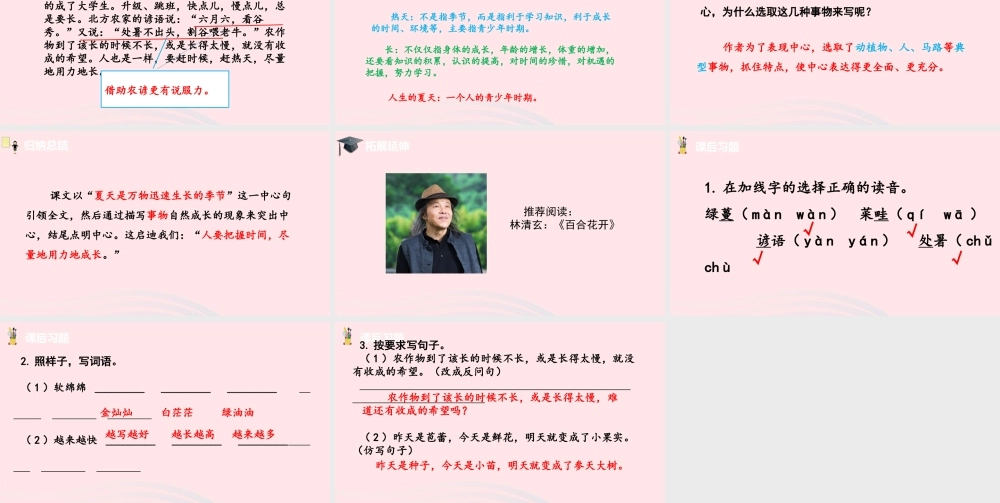 六年级语文上册 第五单元 15夏天里的成长课件 新人教版-新人教版小学六年级上册语文课件